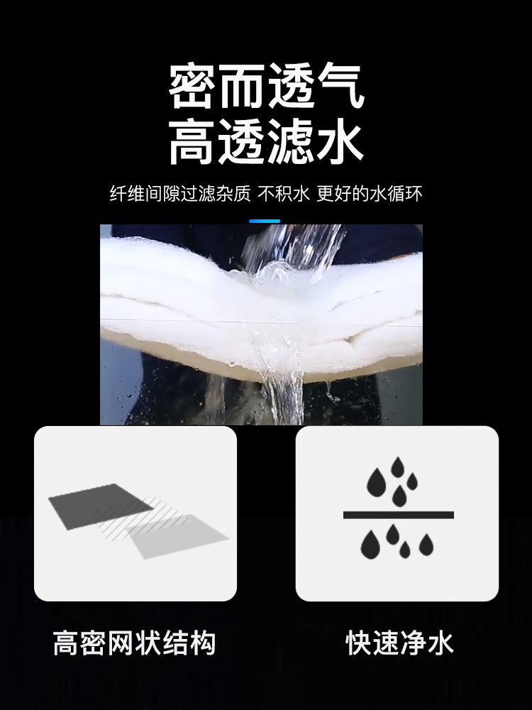 纽扣珊瑚新手必备：点亮你的荧光海缸，开启海水观赏鱼缸入门之旅！