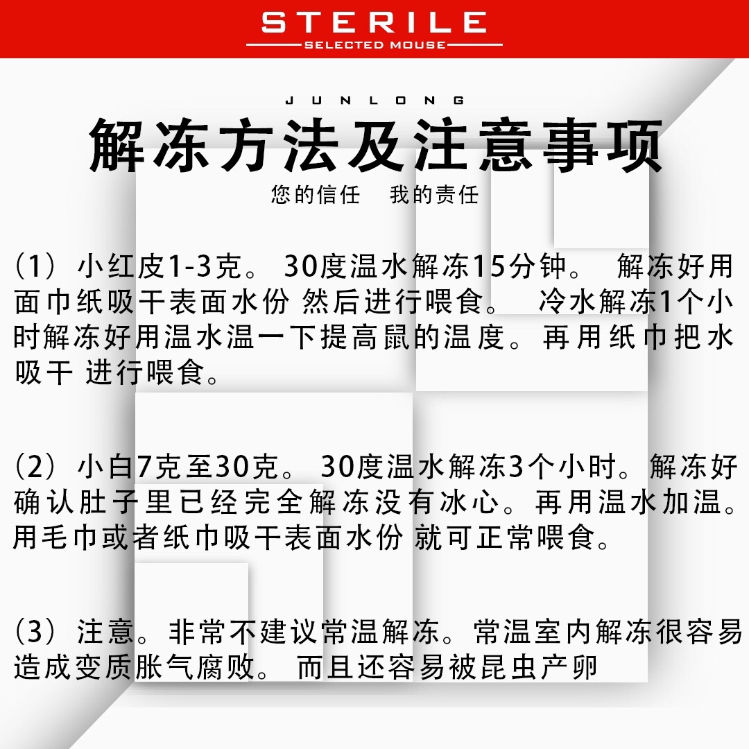 图解宠物常识大百科：新手养宠必读，猫狗鸟兔鱼龟全攻略！