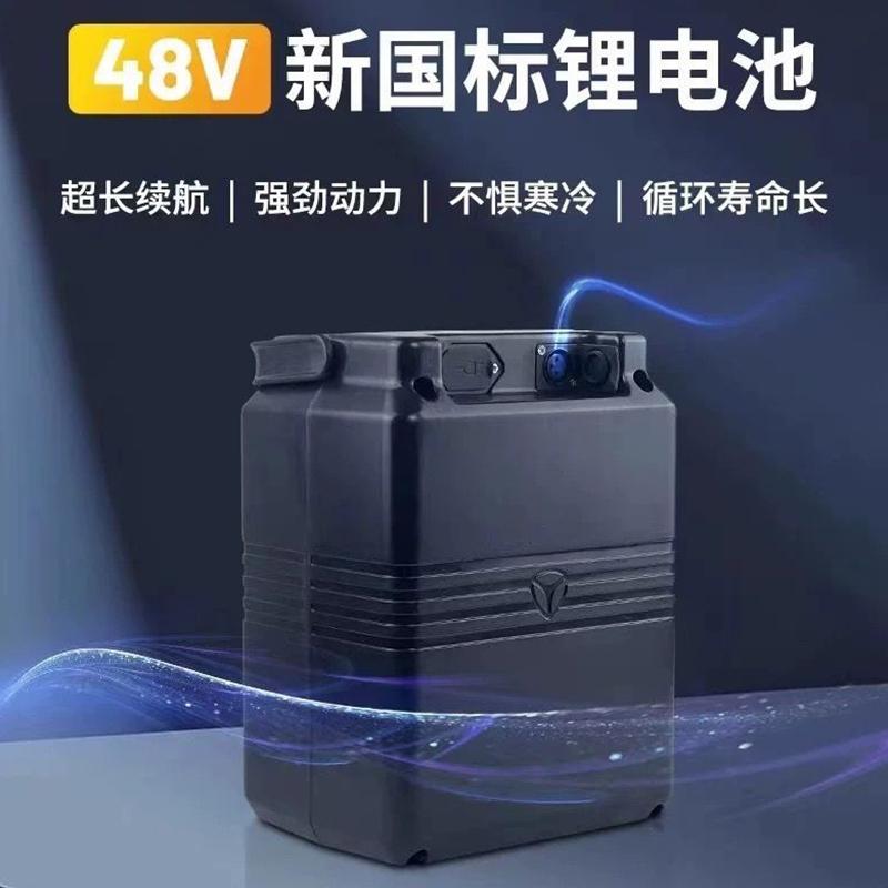 雅迪专用锂电池48V24A60VDE8/DE3/DT6新能安星恒电动车电瓶DM6DT3：解锁电动出行新体验！