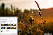 Cobweb Windows 7 Theme1.00