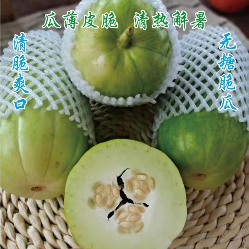 苏北农家新鲜菜瓜：脆瓜梢瓜老式烧瓜，现摘老人无糖生吃凉拌顺丰包邮！