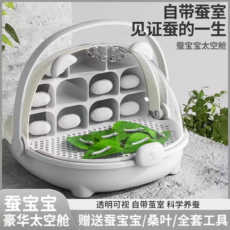 蚕宝宝学生养蚕套装：三年级科学实验必备，亲手养蚕的乐趣
