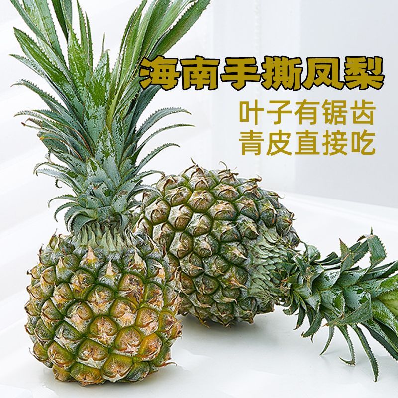 海南凤梨，孕妇也能放心吃的当季新鲜水果！