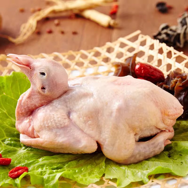 土鸽子农家散养鲜鸽：吃出健康的美味秘诀！