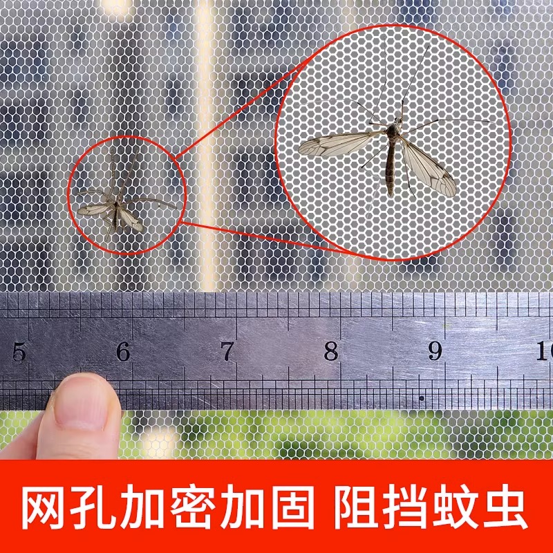 防虫网窗纱网：守护家园，拒绝蚊虫侵扰！️