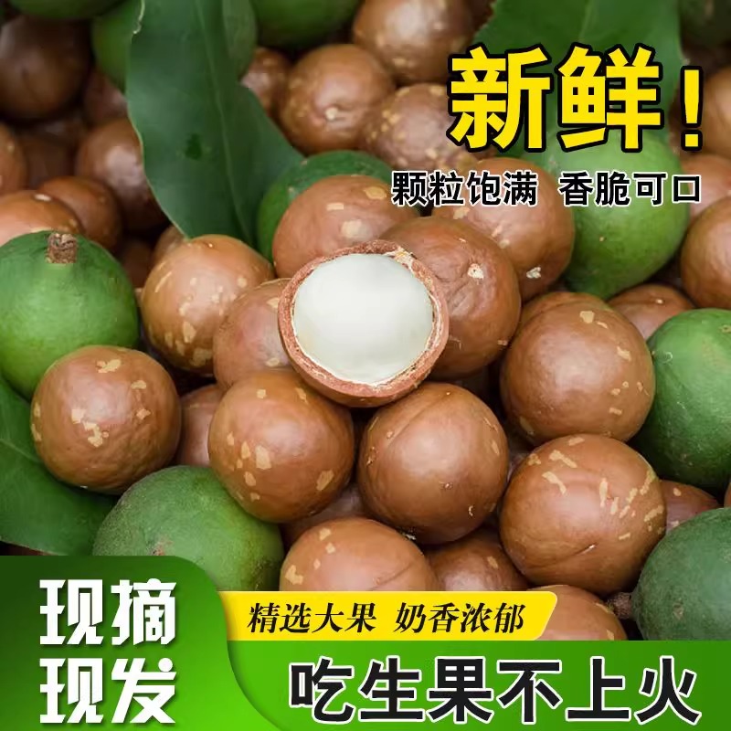 云南西双版纳特产新鲜云垦夏威夷果，让你一口接一口停不下来！