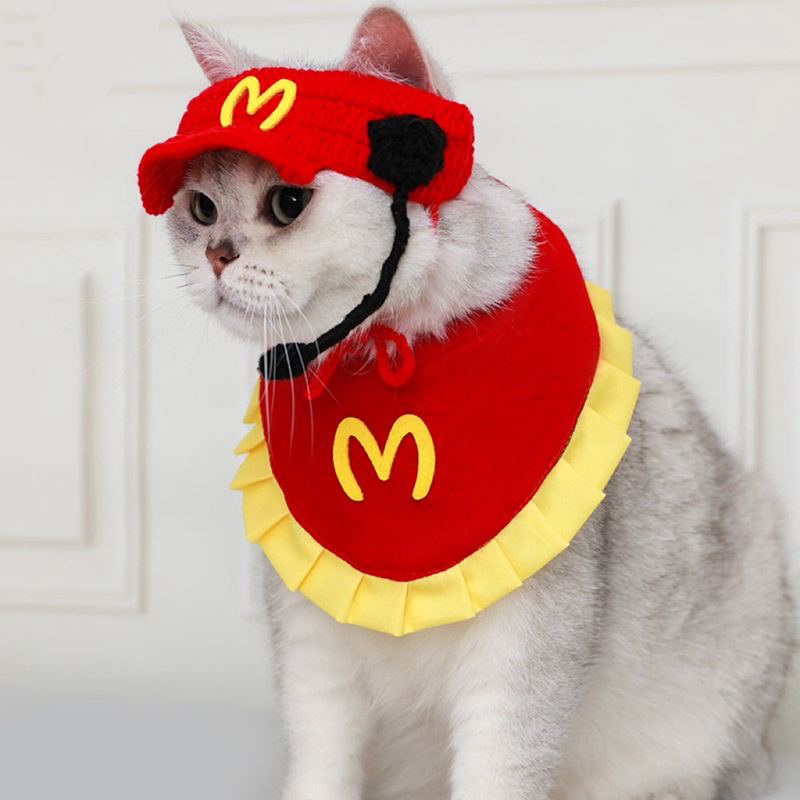 猫咪帽子变装，萌翻你的宠物！