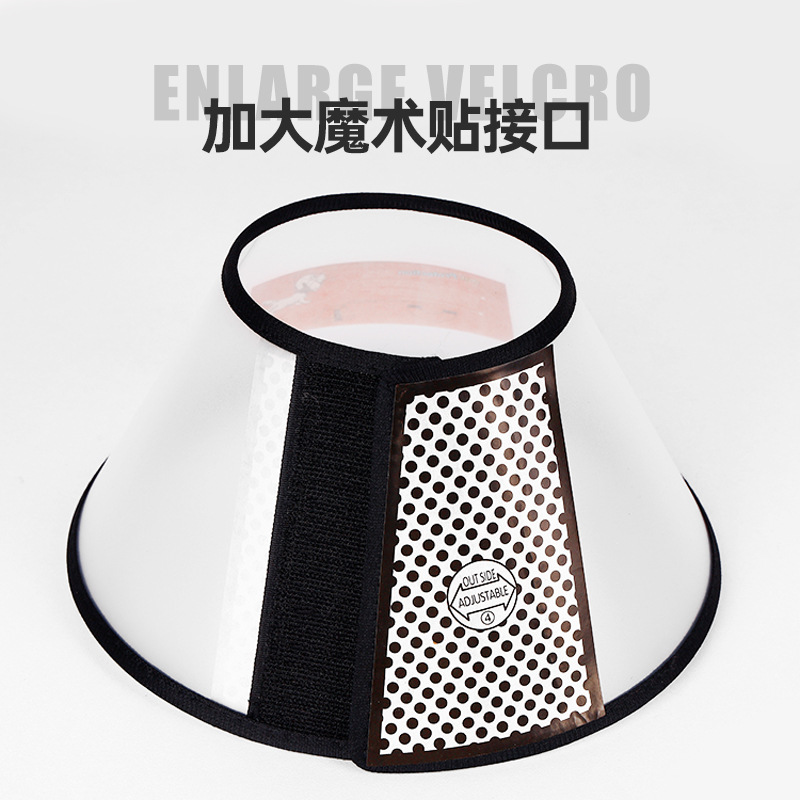 布拉多狗垂下尾巴是什么意思？解读狗狗情绪密码