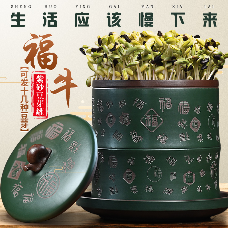 商用食品级豆芽机：家庭版全自动花生绿豆芽发芽神器，解锁绿色健康生活！