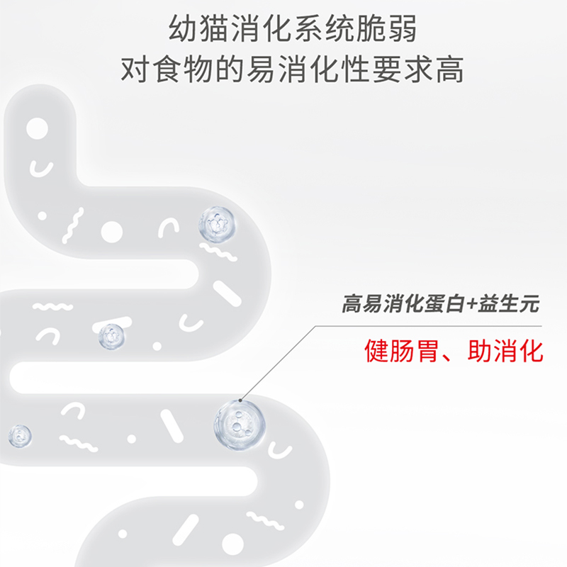 宠物店的男人们：揭秘那些让你欲罢不能的萌宠故事，绝绝子！