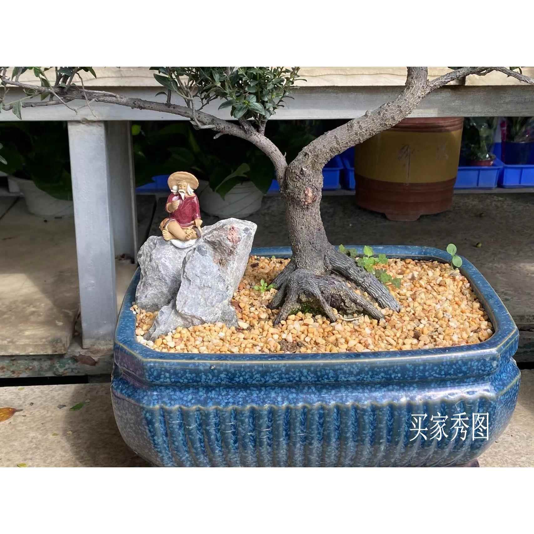 冲冠冲钻假山陶瓷摆件！鱼缸盆景神器，颜值爆表还能当风水宝物？
