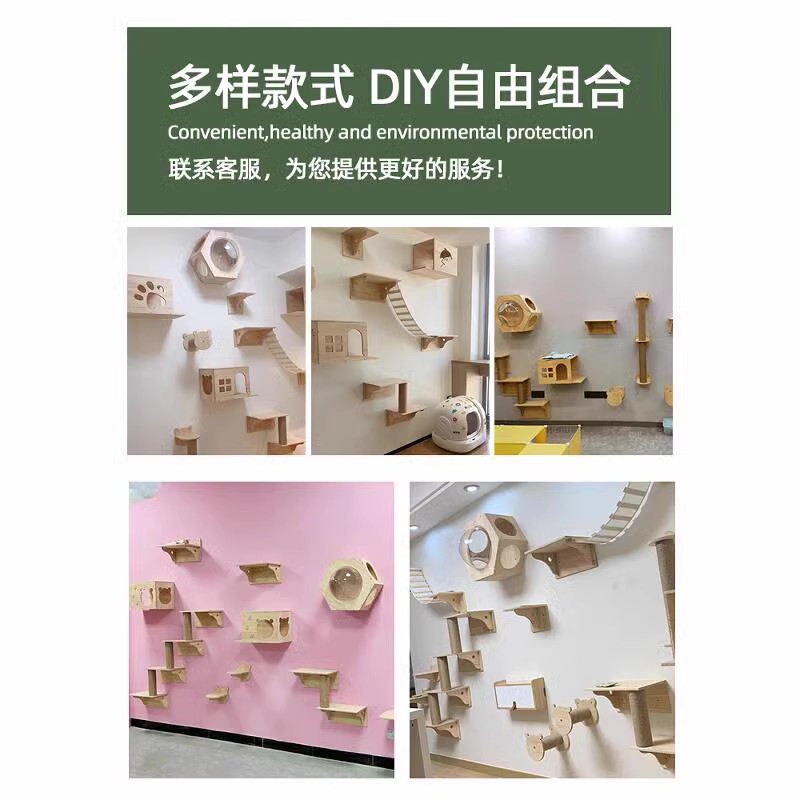 猫咪乐园大揭秘！小户型必备猫爬架猫窝猫树一体木质猫架