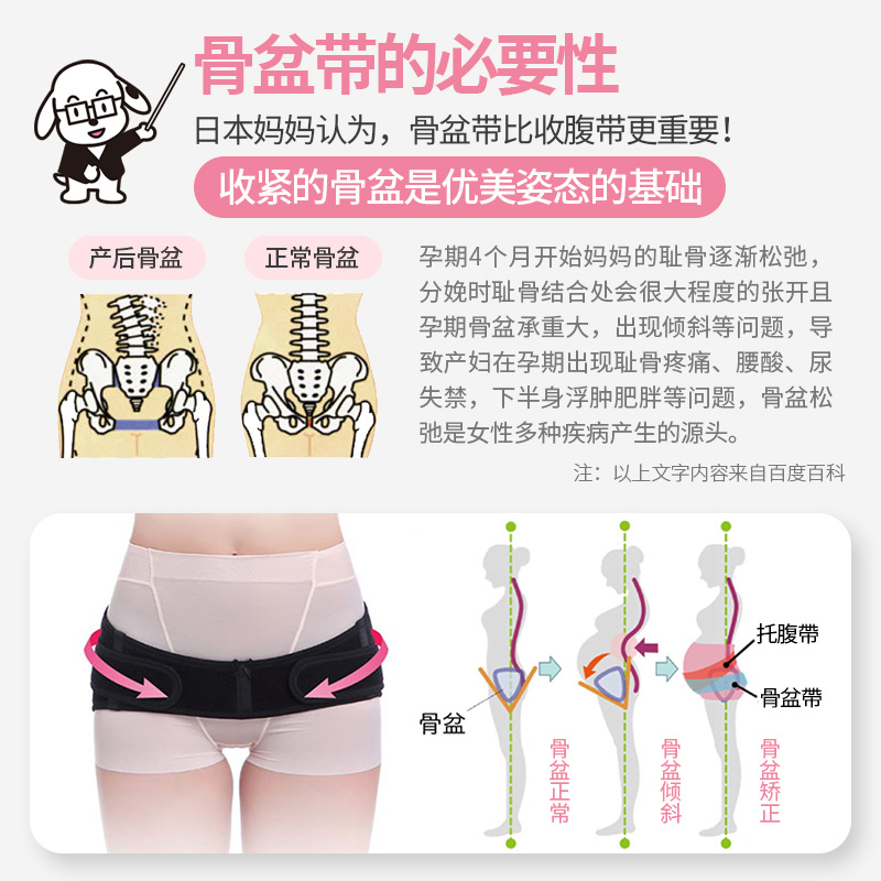 犬印本铺骨盆带：产后收胯神器，孕妇宝妈们的福音！