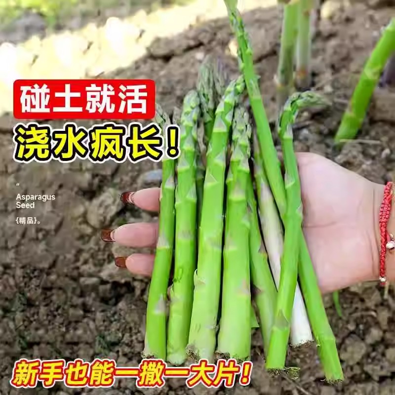 昂跑品牌鞋子价格多少合适？别再被割韭菜了！