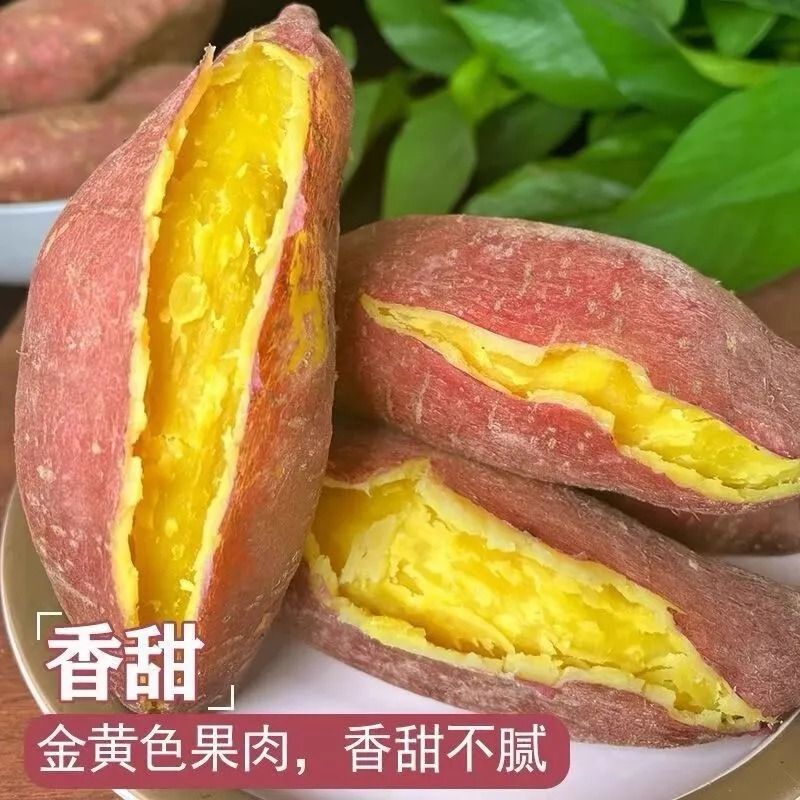 厂家直销！胡萝卜清洗机真香？红薯地瓜清洗机到底值不值得买？