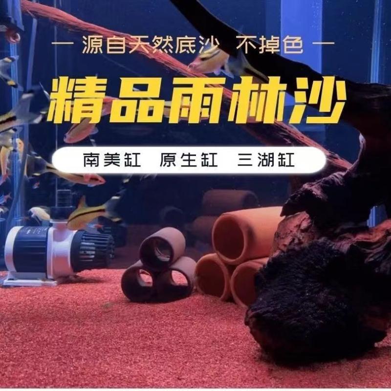 养巴卡雷龙需要多大的鱼缸？水族爱好者的必备指南