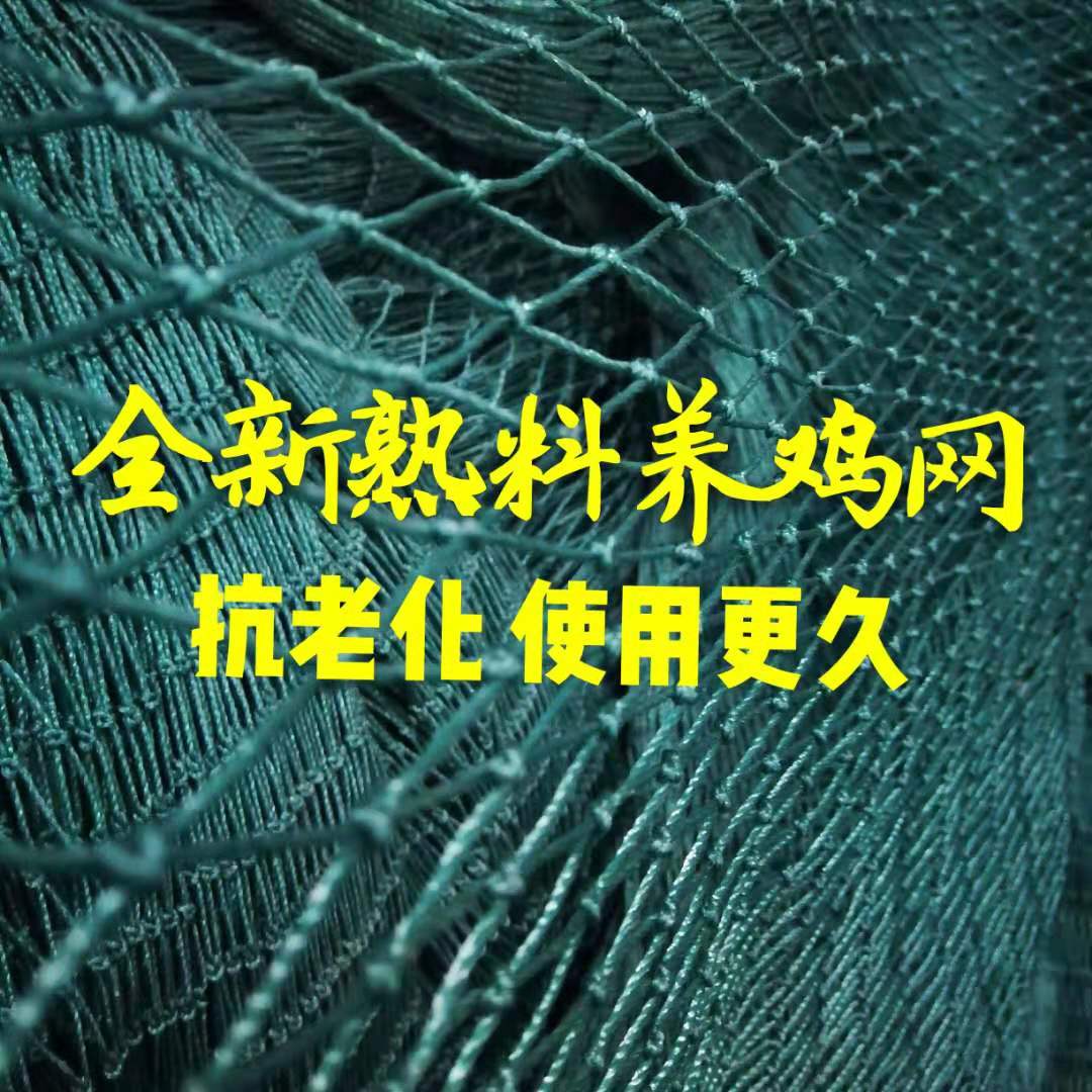 养鸡网大揭秘：如何用尼龙网打造完美围栏，让你的鸡群无忧无虑！