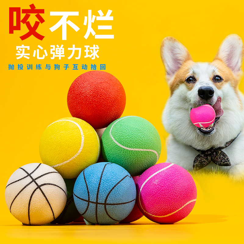 狗狗玩具球大揭秘：耐咬不烂实心球，专治马犬磨牙难题！
