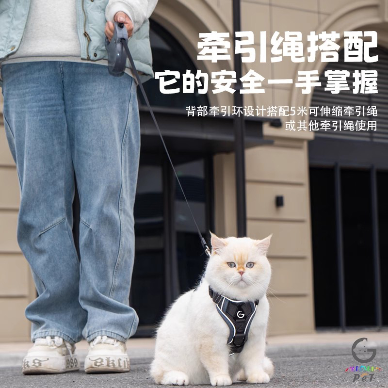 猫咪牵引绳：遛猫神器，让你的毛孩子也能享受户外时光!