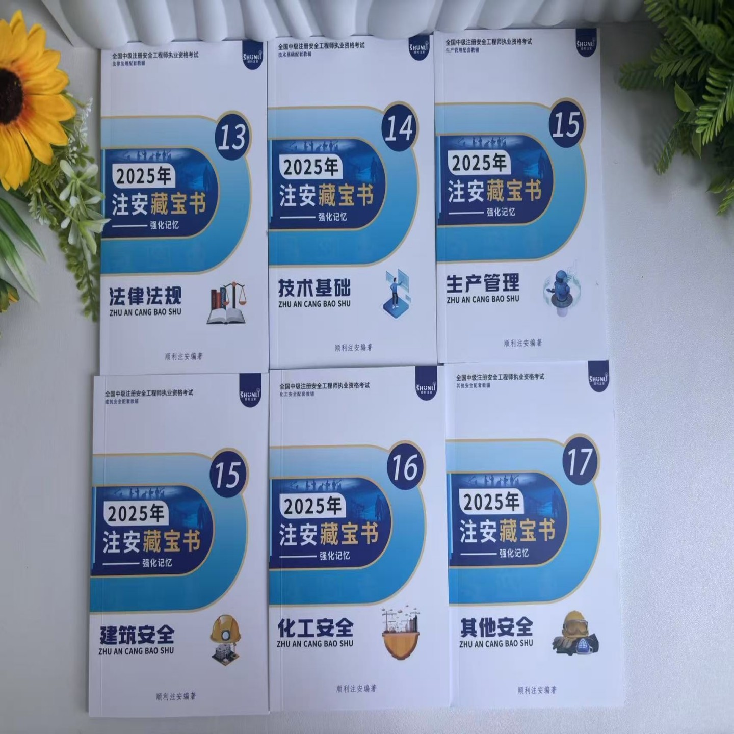 2025年顺利注安藏宝书：中级注册安全工程师必备神器！