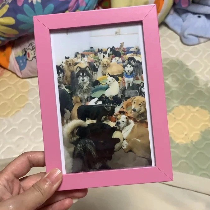 揭秘天猫入驻攻略！这些条件和费用你真的了解吗？