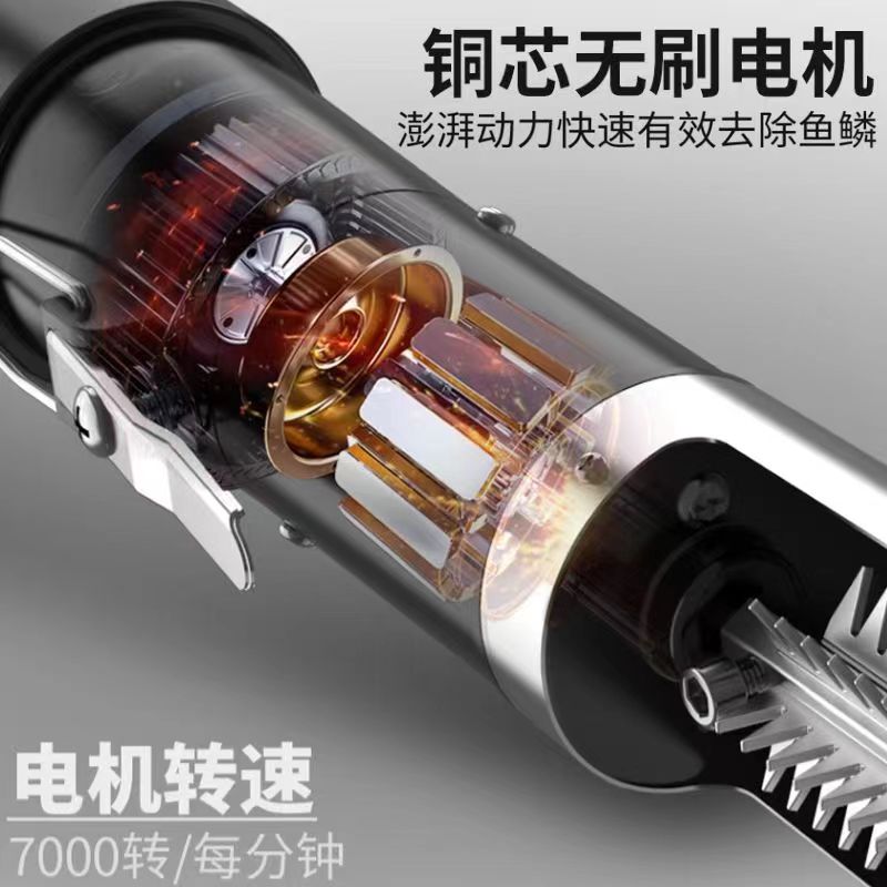 杀鱼神器来了！瑞鑫昊全自动杀鱼机，商用效率爆表这波不冲亏麻了