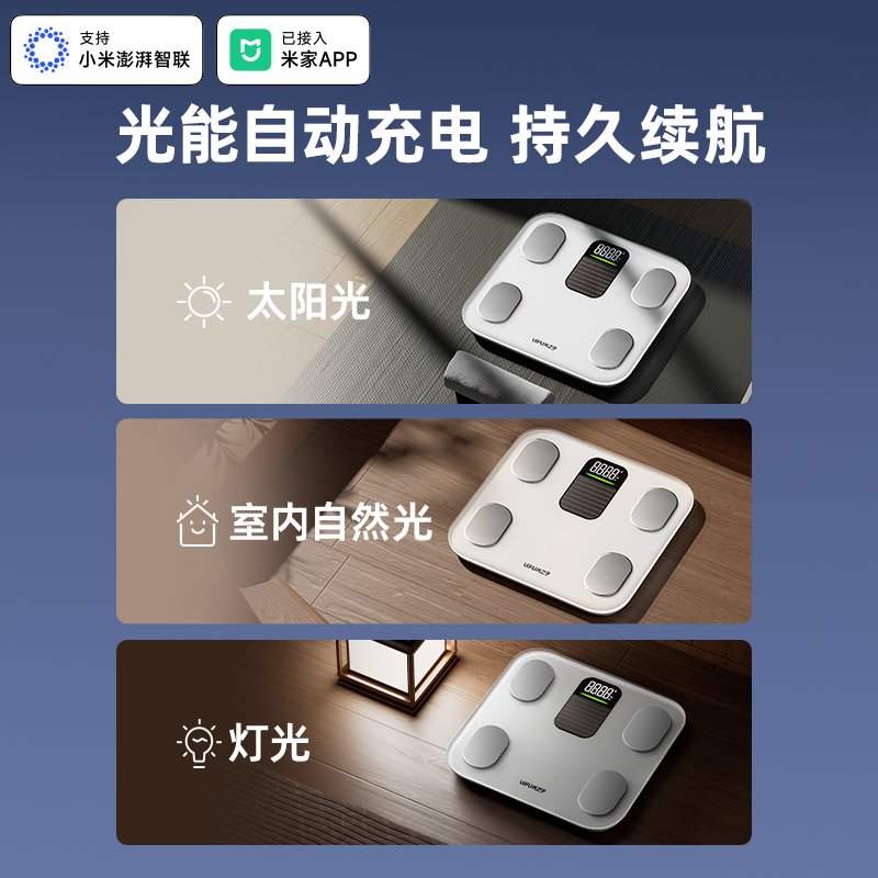 BMI的秘密：健康体重的密码