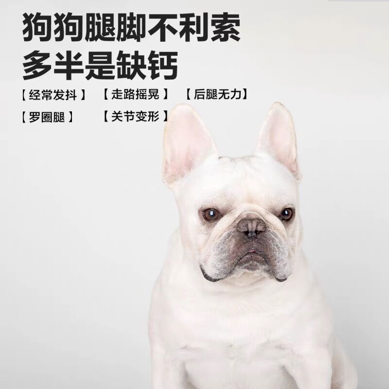 金毛和拉布拉多哪个更适合养？