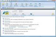 Data Wizard for MySQL distribution package13.12