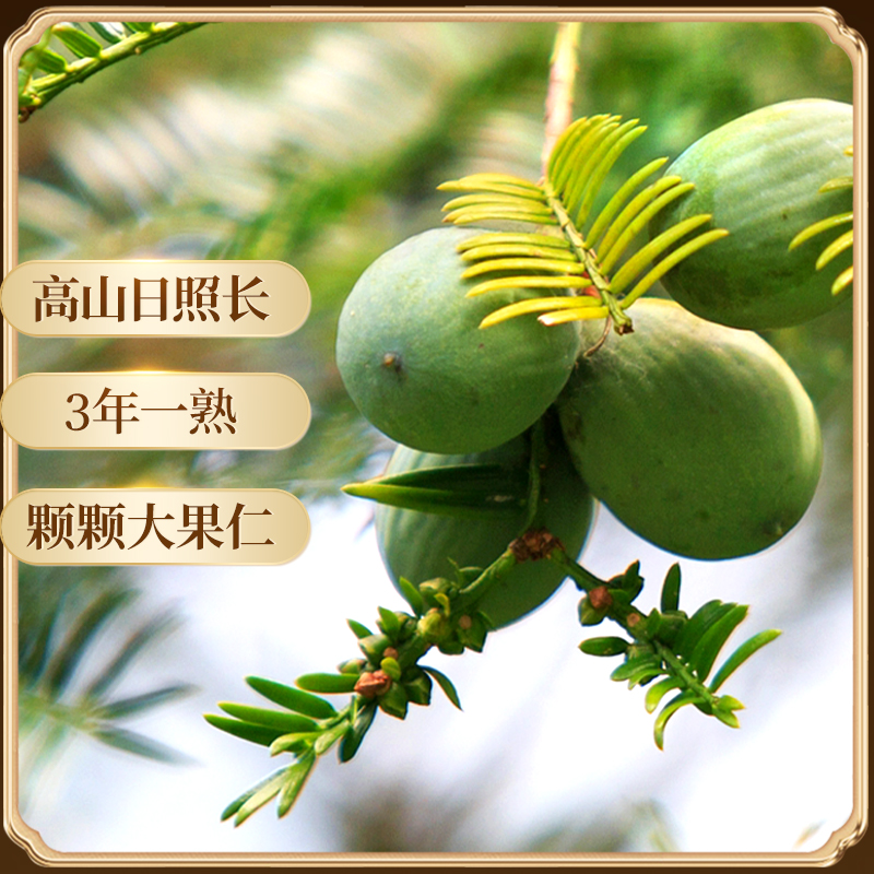 2024年新货香榧坚果礼盒，春节送长辈的不二之选！