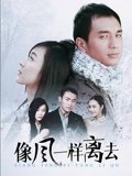 像风一样离去