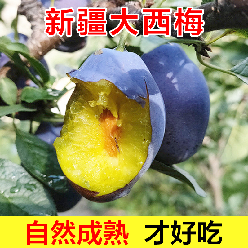 新疆女神大西梅：鲜果界的甜宠炸弹，喀什礼盒来袭！