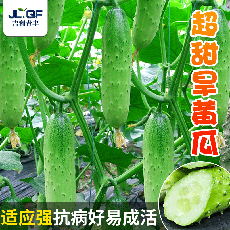 开童装店取名用什么三个字最吉利？