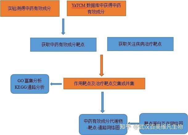 embl数据库,功能、应用与未来展望