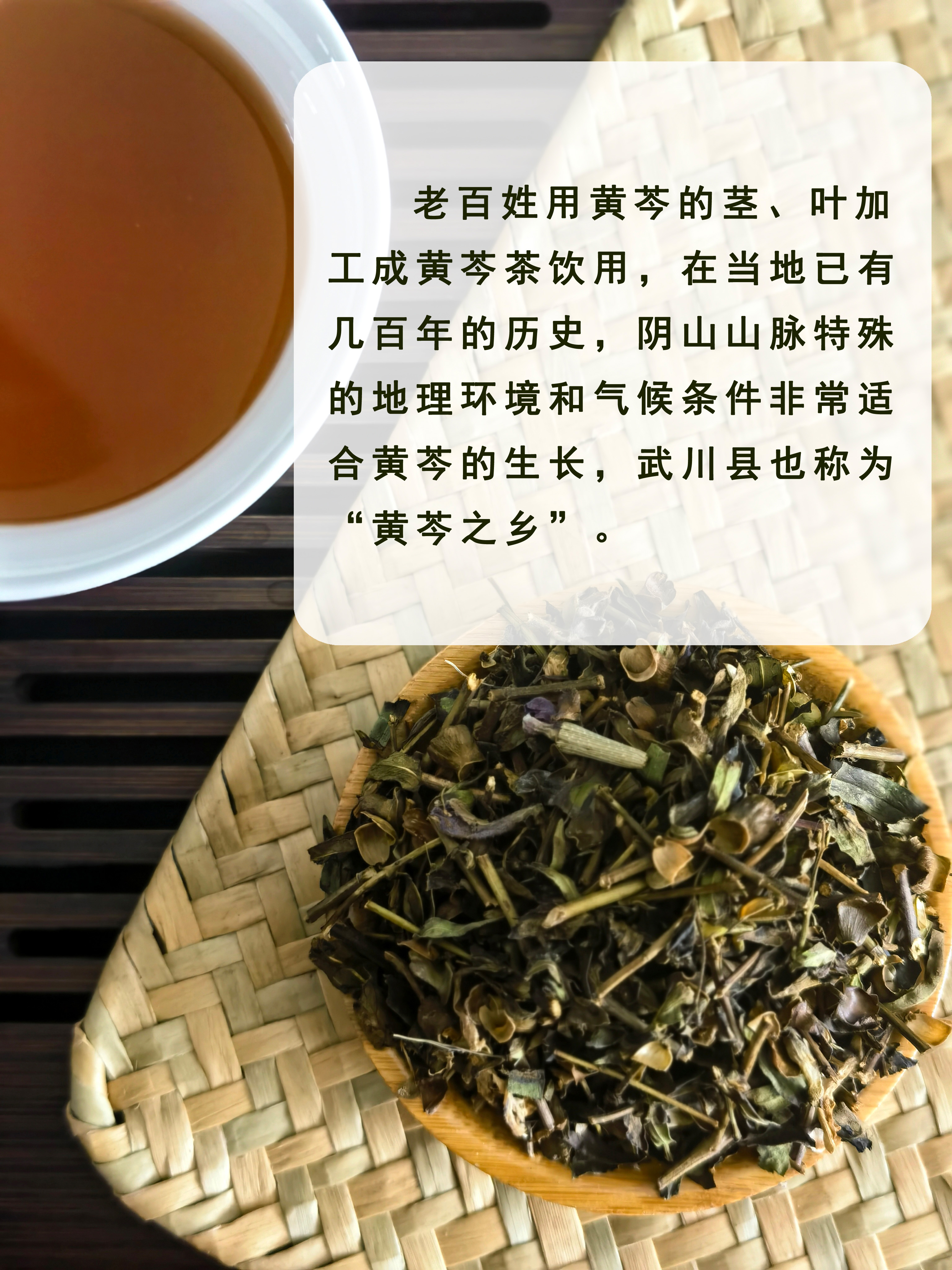 包邮内蒙古阴山山脉大青山特产：塞外山茶黄芩茎叶茶240g，天然养生的秘密武器！