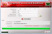 Oracle Password Auditor3.0