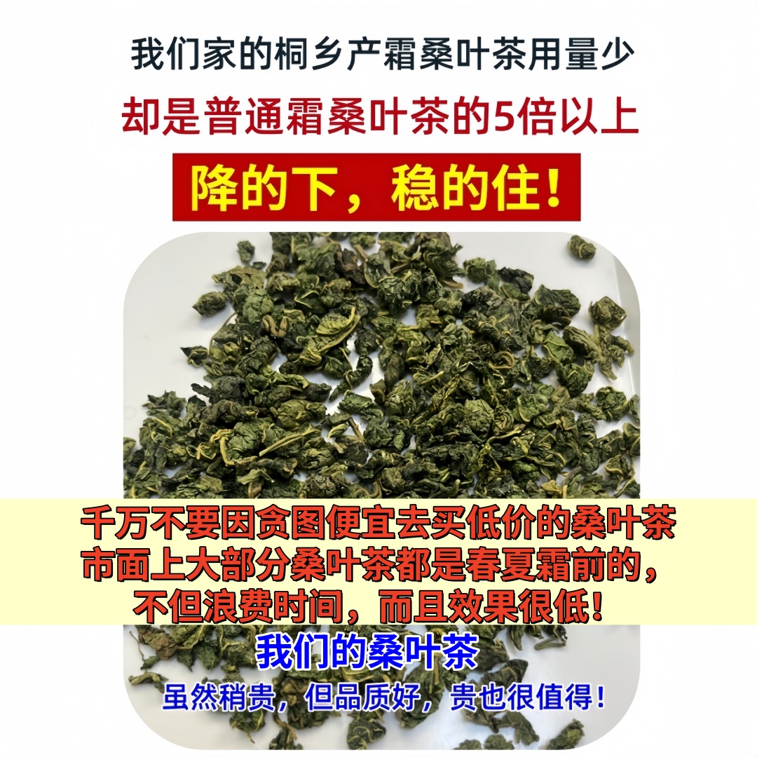 秋后霜打桑叶，养生新宠，泡水泡茶，健康好滋味✨