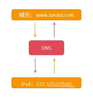 linux域名配置,Linux服务器域名配置指南