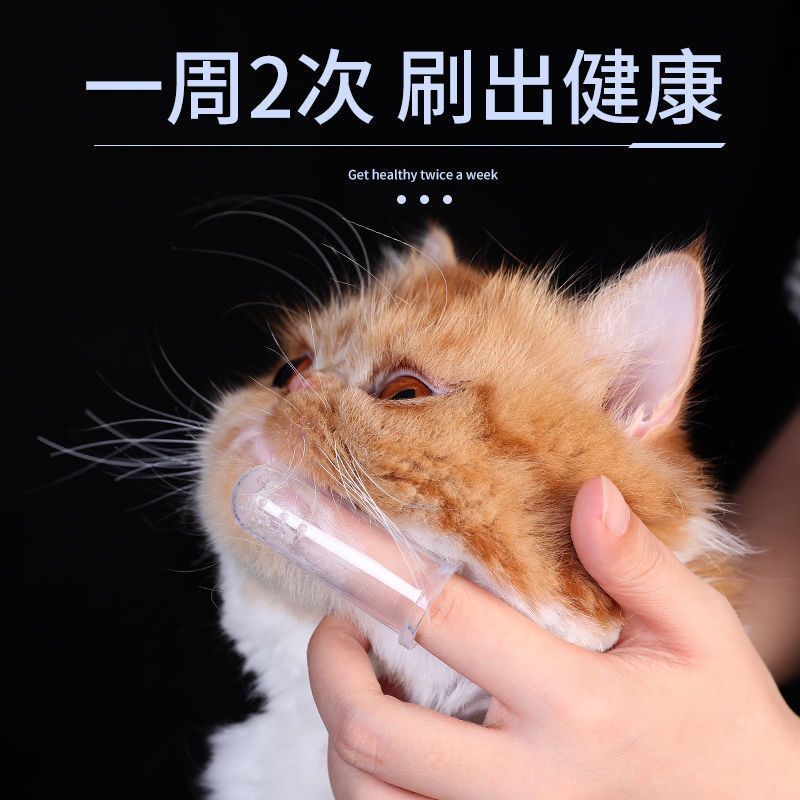 猫咪专用狗狗刷牙神器手指套硅胶牙刷牙膏套装，宠物清洁新体验！