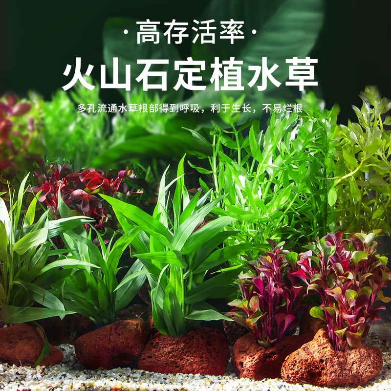 闲鱼租房怎么看是不是房东？真相曝光！