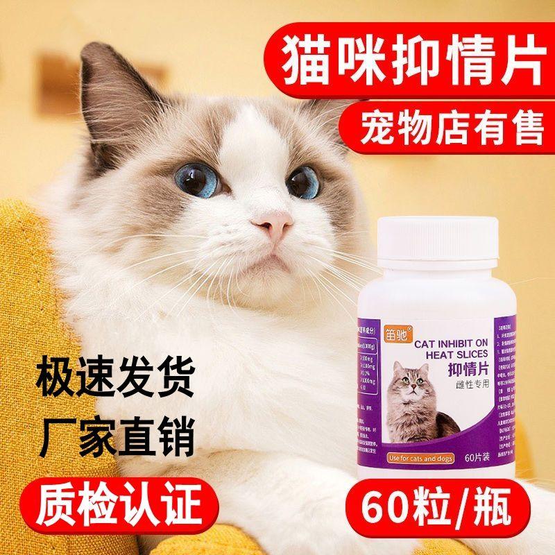猫咪发情太闹心？60粒禁情片让母猫秒变温柔小可爱！这波真香了