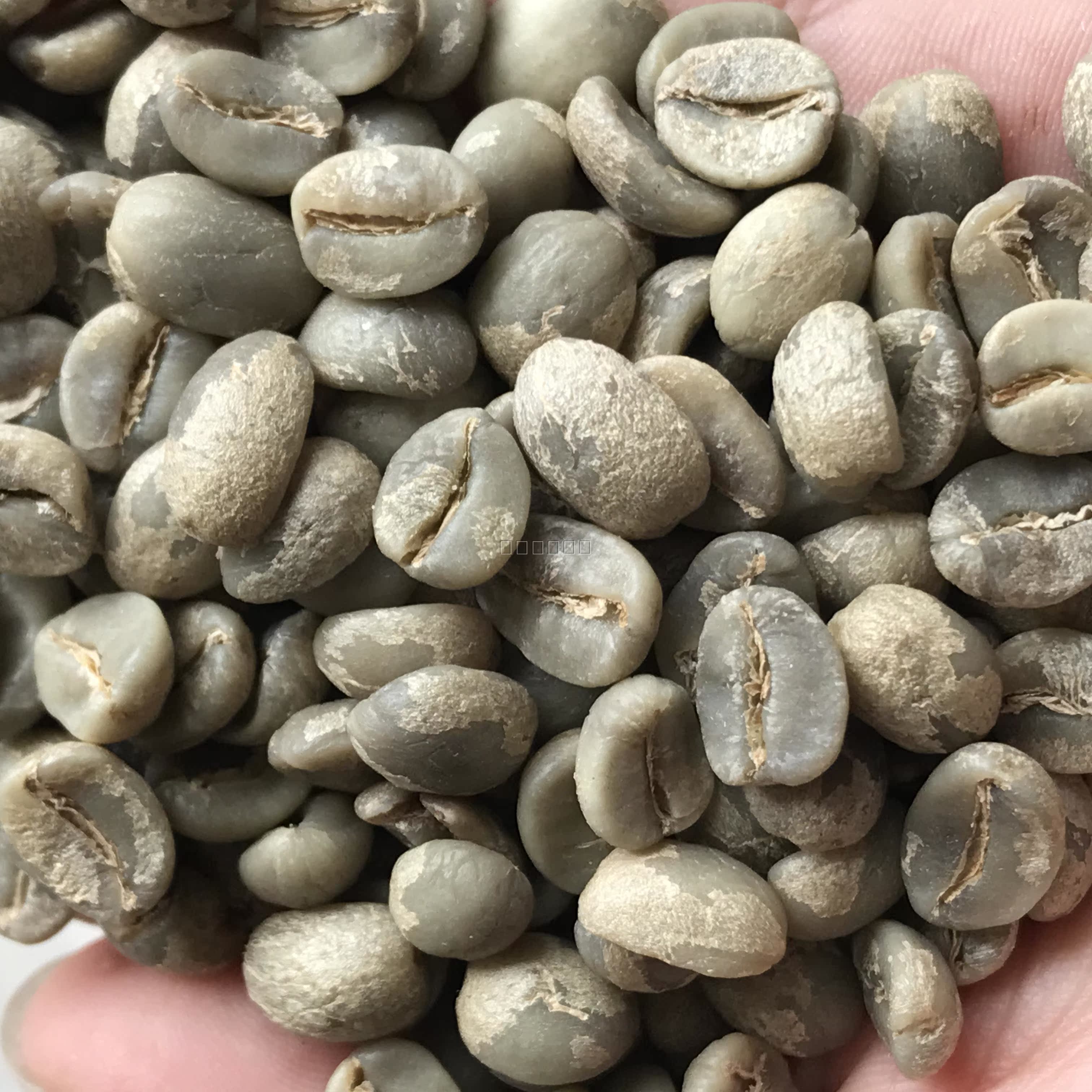 夏威夷科纳咖啡豆照片：宝藏级咖啡爱好者的终极指南