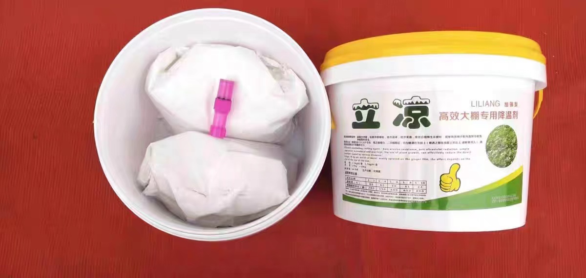 大棚降温剂防晒剂降温神器，法国贝贝进口防晒遮阳涂料，利凉立凉，种植户必备！
