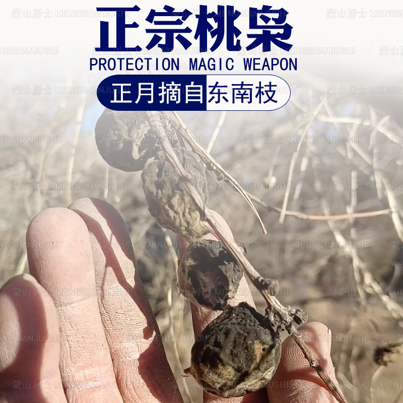 桃枭正月摘不落地沂蒙山野生桃核手串，解锁自然之美！✨