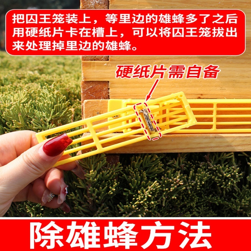 第三代新款自动分蜂器：中蜂分蜂神器，防逃框养蜂新潮流！