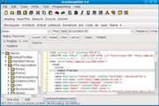 Arachnophilia5.5 Build 2914