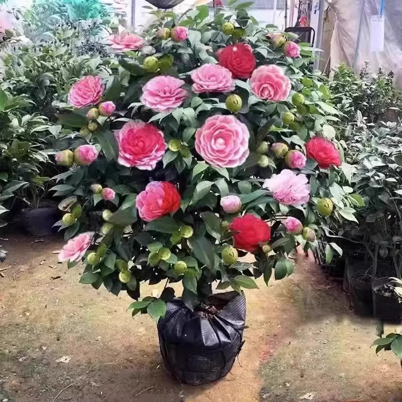 淘宝爆款美妆神器：解锁你的美丽新密码！