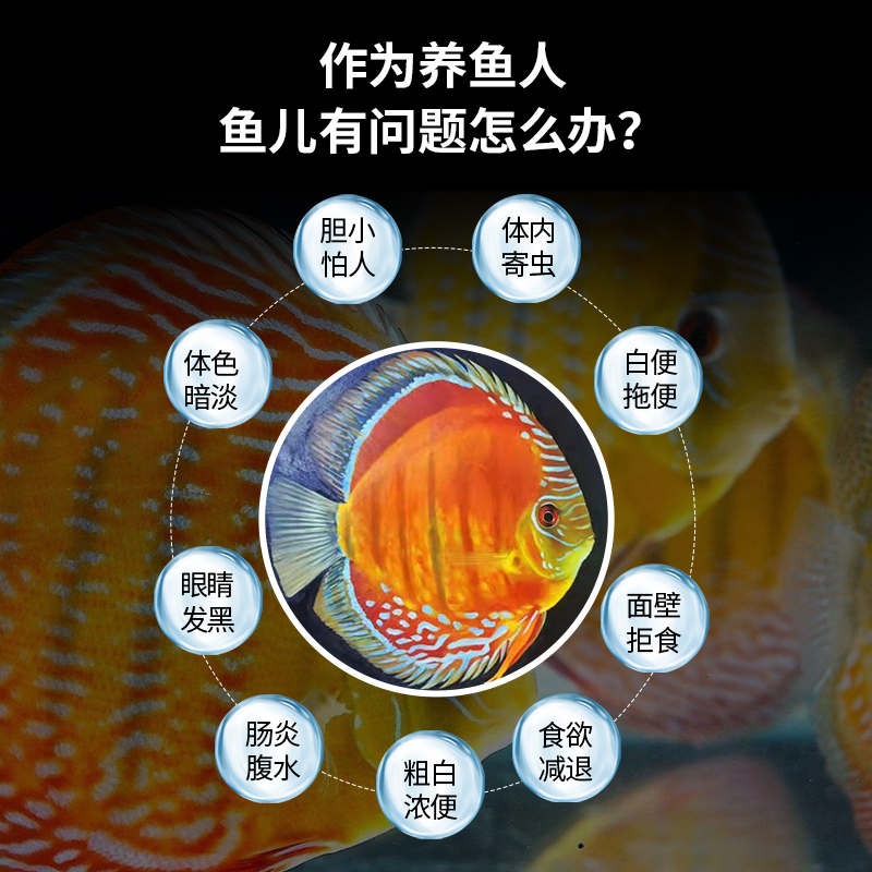 HCP神面改良水质，守护七彩神仙鱼健康，告别白便肠炎！