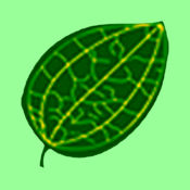 喷绘王1.1