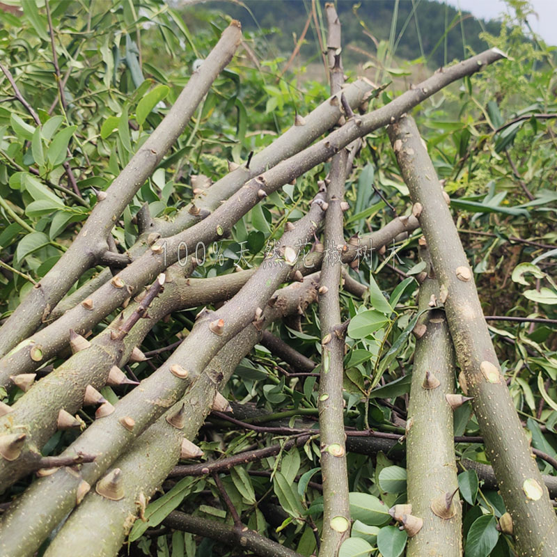 野生花椒树木料DIY磨牙棒：宝宝安心咀嚼，妈妈放心选择！